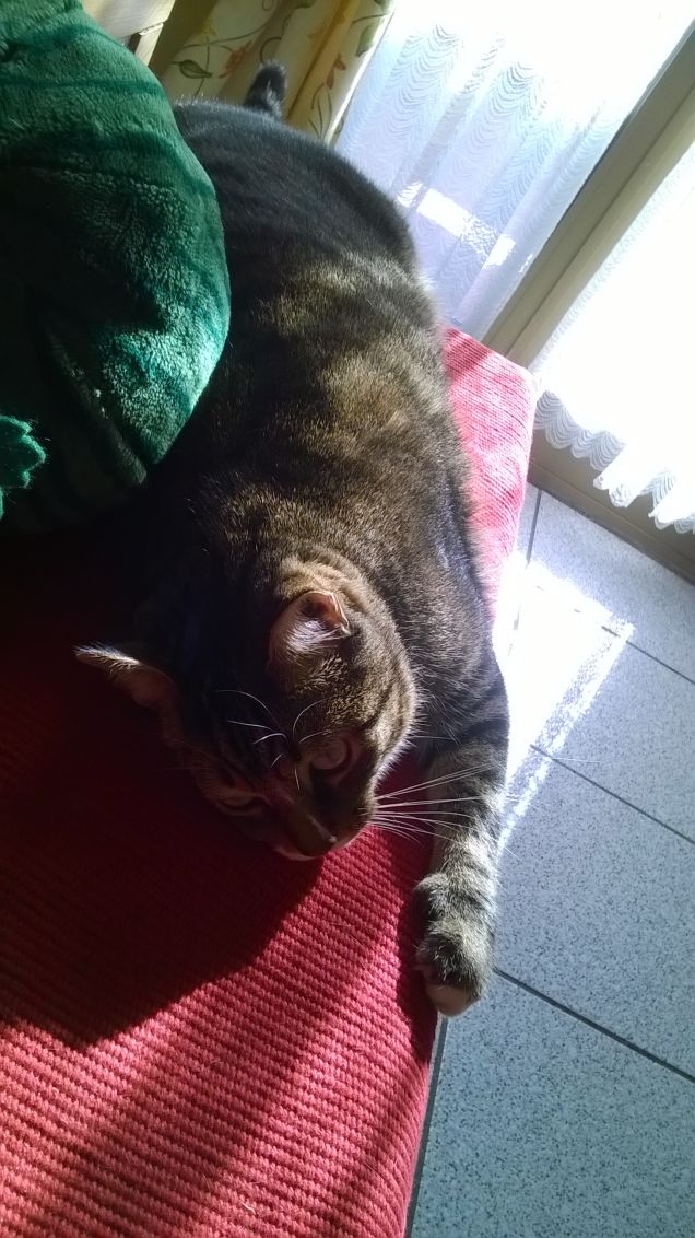 voglio ancora dormireeee