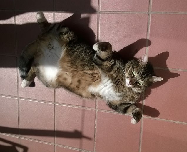 Sta arrivando l'estate!!!