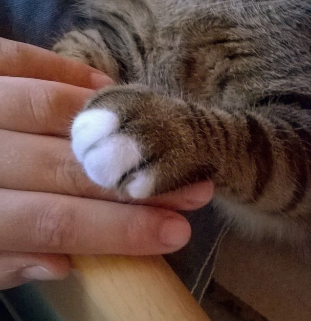 uno per tutti....tutti per uno!!!!❤ 