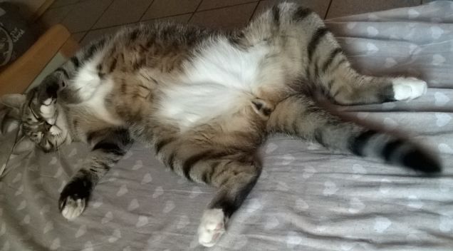 agosto.....relaaaaaaax