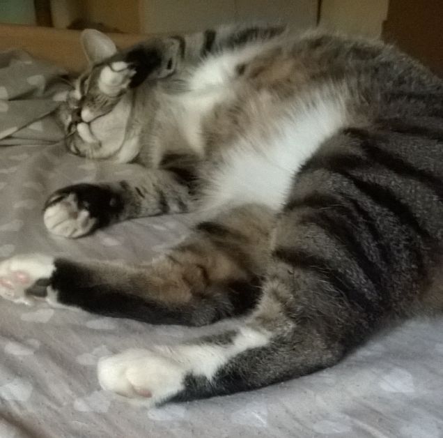 dormire....dormire e ancora  dormire