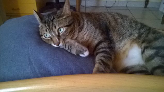 aspettando il sole...