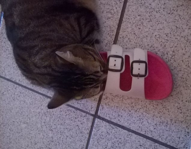 passione per le ciabatte