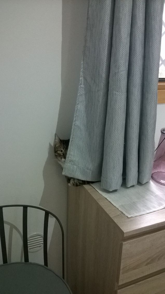 adesso sono invisibile :-)