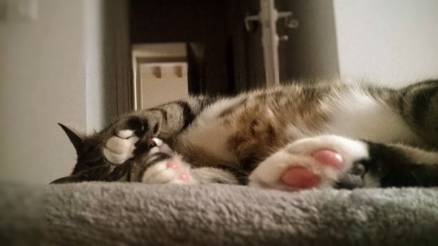 ....altre 3-4 ore e poi mi alzo....