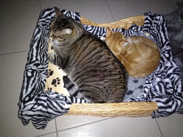 Vogliamo stare VICINI VICINI