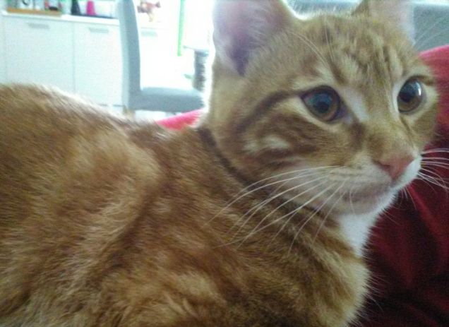 Un sorriso per i miei amici