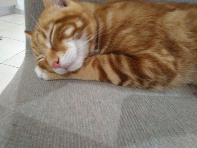 Sono moooolto rilassato