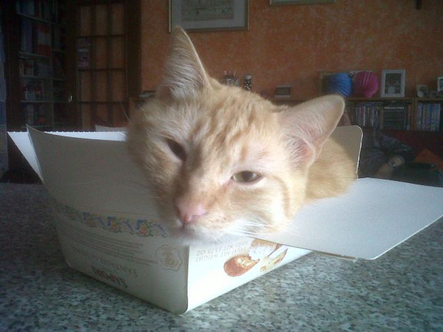 non arrendersi alle evidenze...