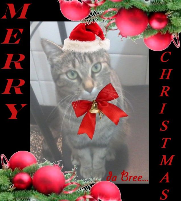 Merry Christmas from me and Bree.