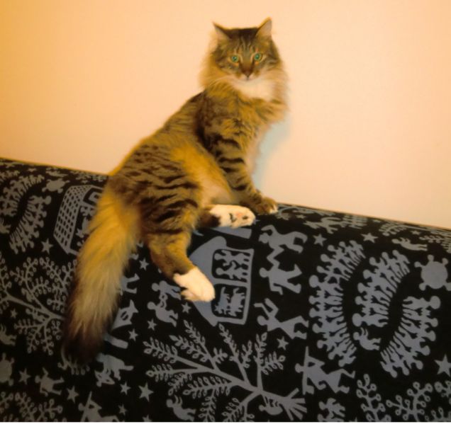 backstage calendario:))