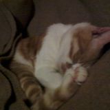 vi presento il nostro regalo