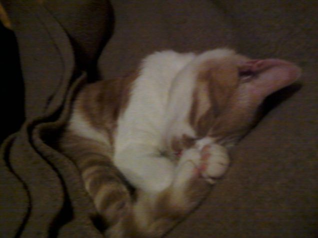 tenerone di mamma!!!