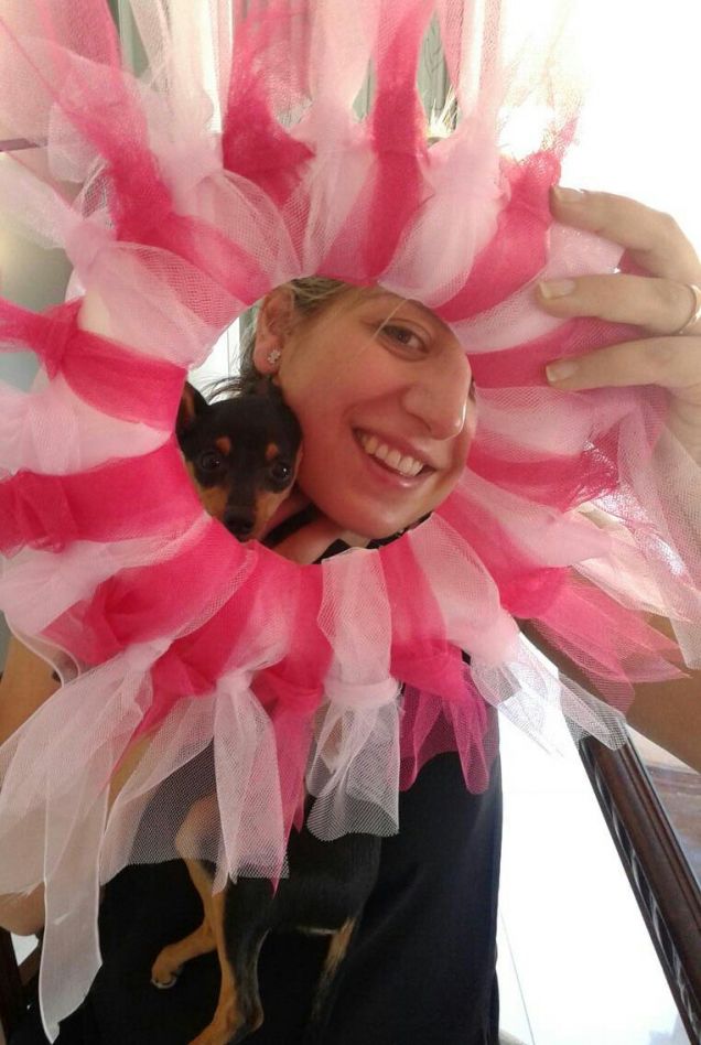 durante la preparazione della coccarda