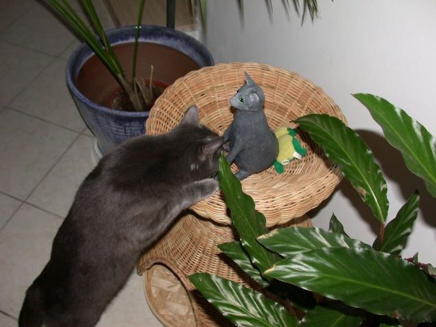 Le avventure di Krizia