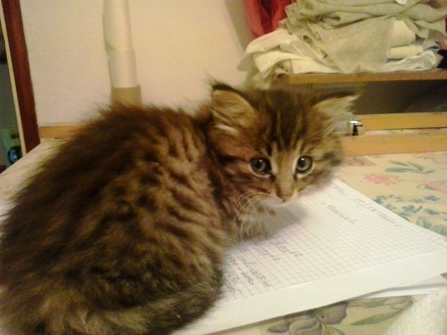 Non si può non amarlo