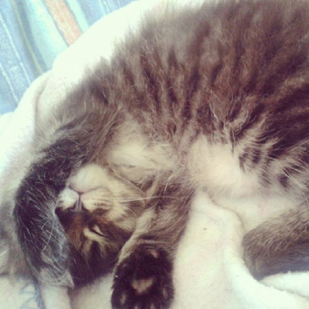 Cloe la piccola peste.