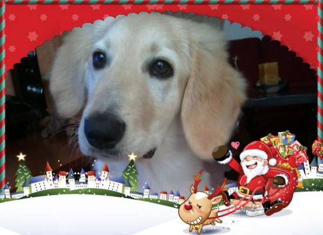 Buon Natale a tutti voi... Numa