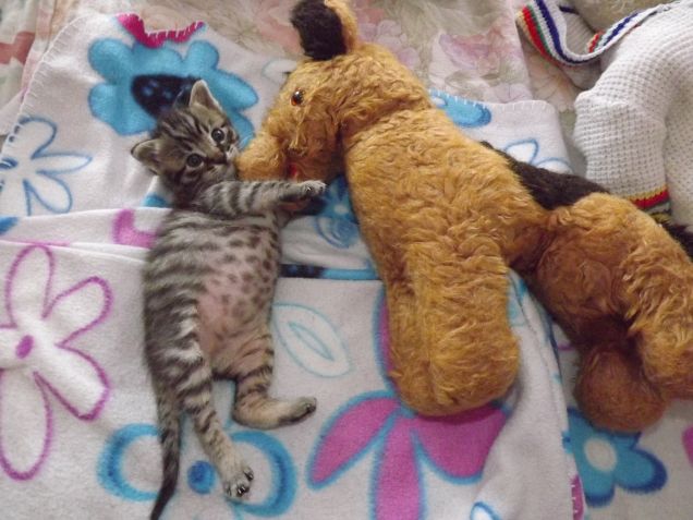 Sidoine con il suo peluche..... 