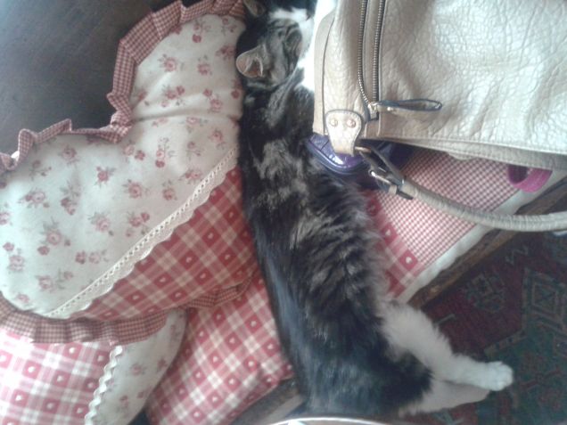 riposino invernale...