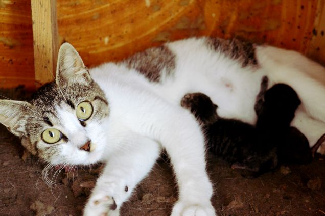 'I miei due regali più grandi'