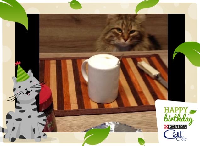 HAPPY BIRTHDAY CAT CHOW!