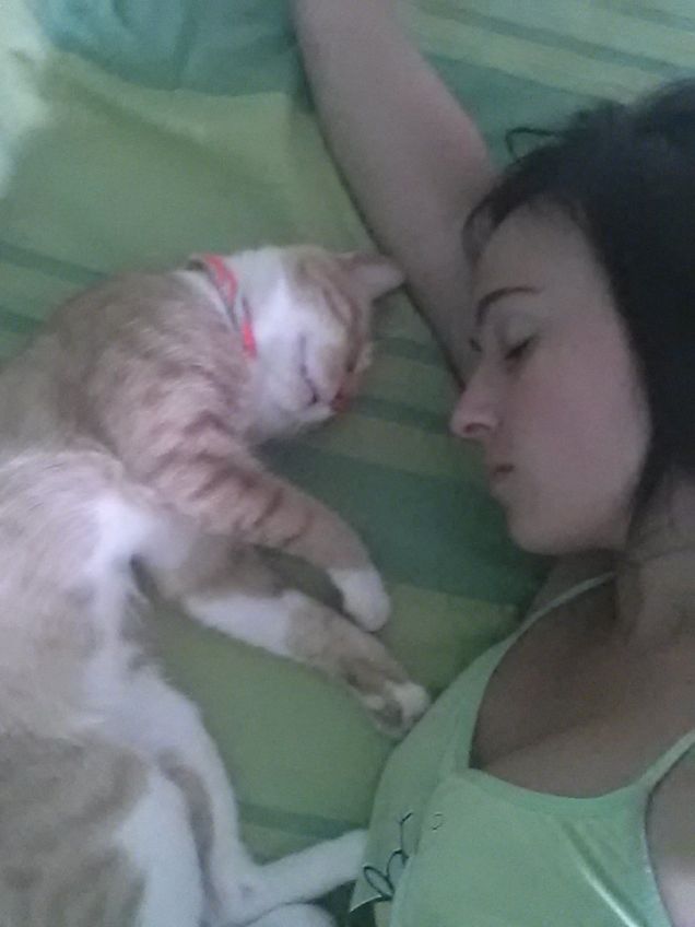 Sogni miciosi a tutti!