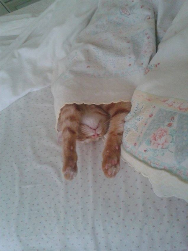 SOGNANDO DI ESSERE SUPERMAN