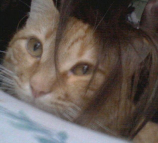 artemis dal parrucchiere