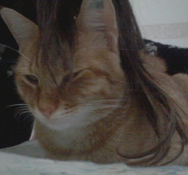 legolas dal parrucchiere