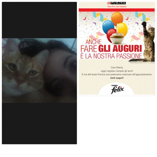 Gli auguri dello staff 