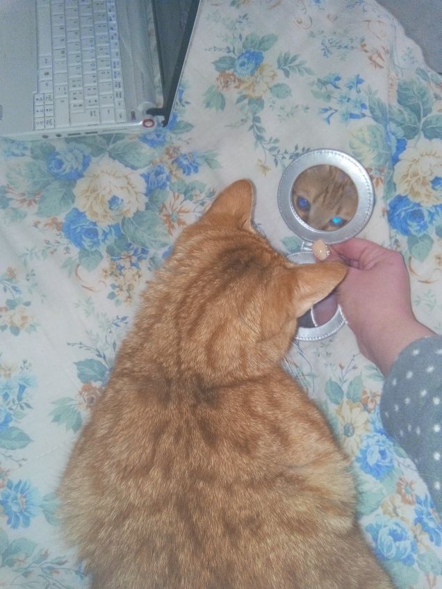 Sono bellissimo allo specchio 