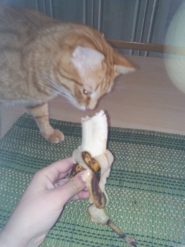 Mangia frutta parte 2