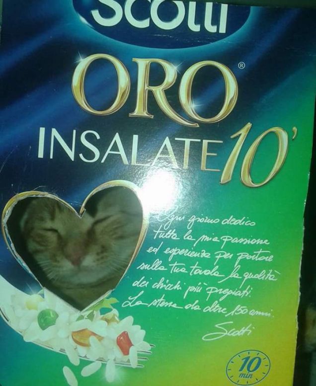 Risogatto