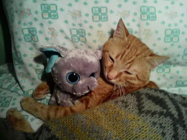 Strapazzami di coccole 