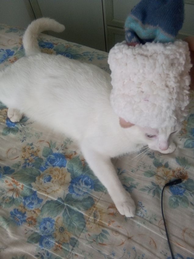 La regina Elisabetta e i suoi cappelli