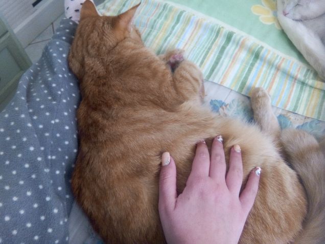 Legolas mi ama e io amo lui