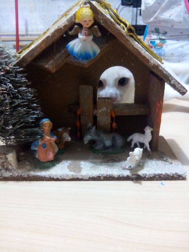 L angioletto nel presepe