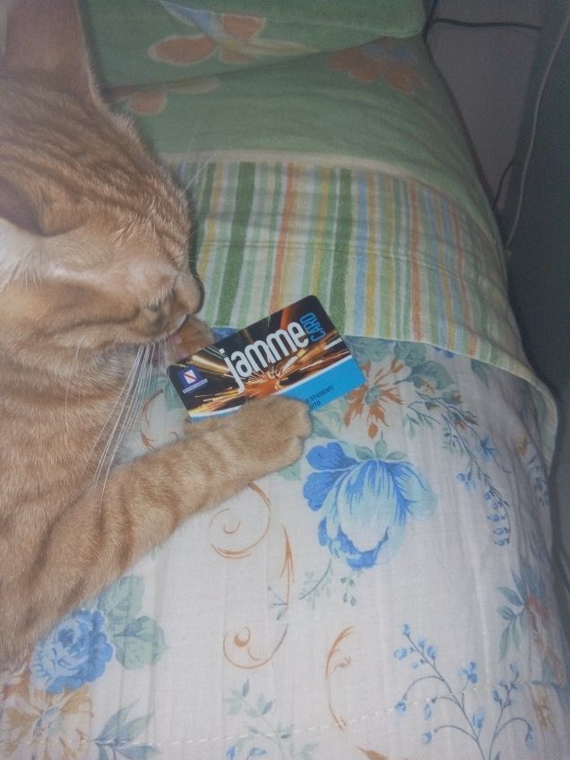 Per caso è una carta di credito?