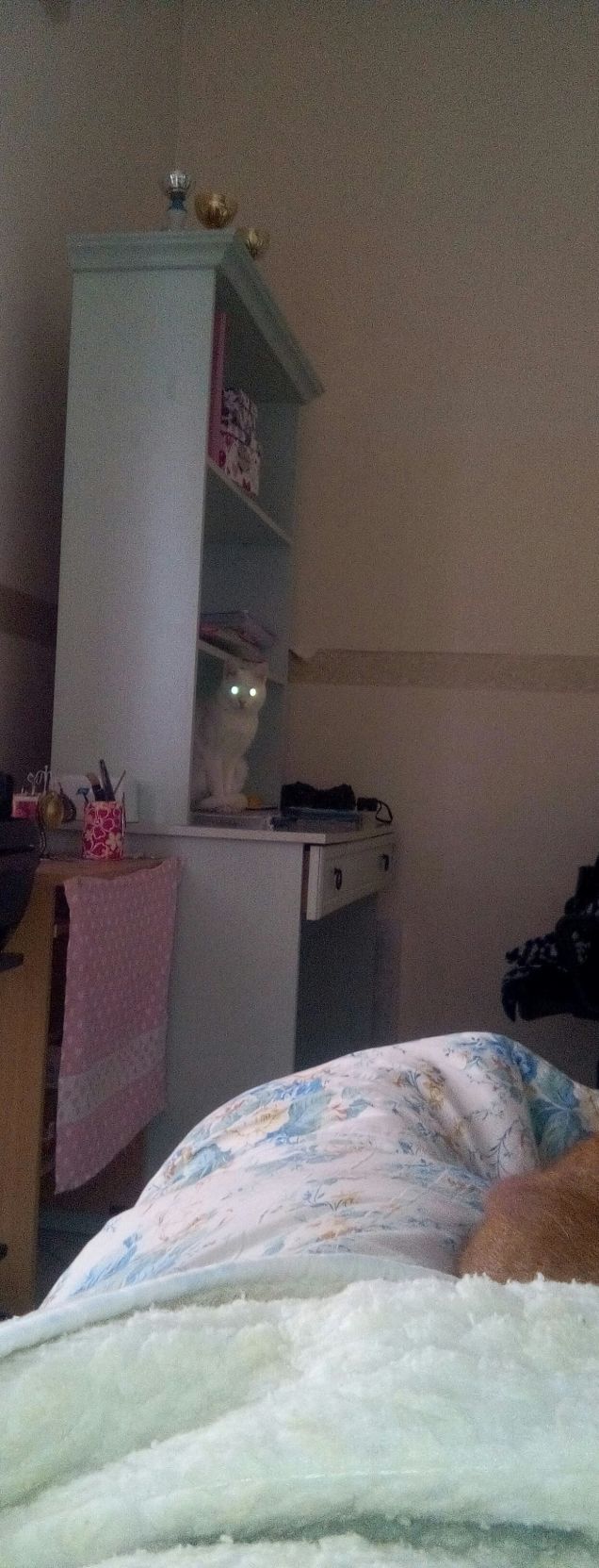 Icy mi vuole spaventare