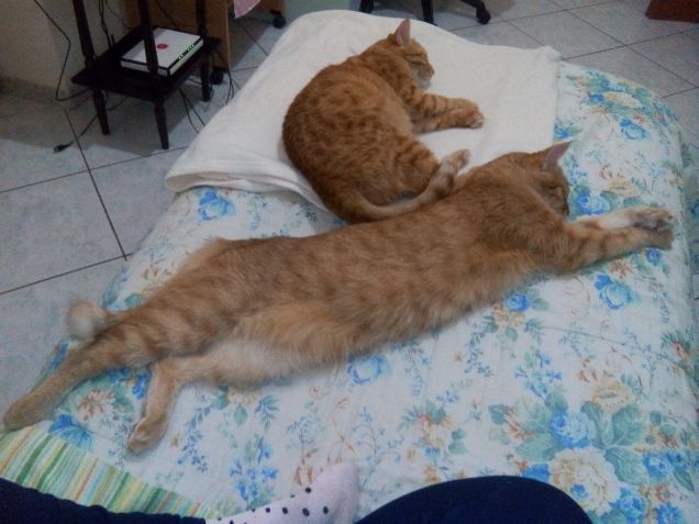 Tre metri sopra il letto