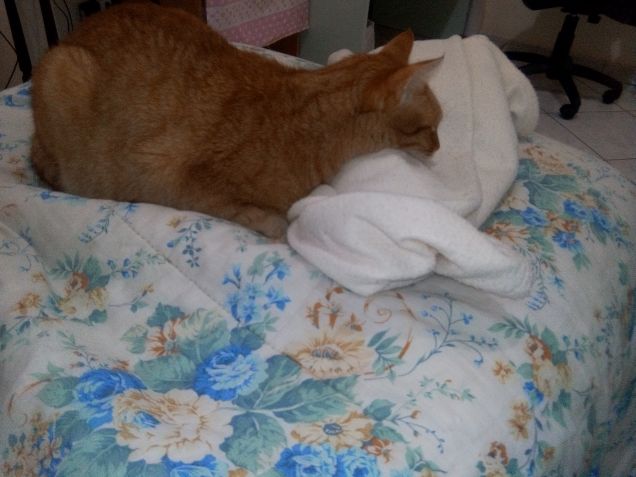 Poggia mento fai da te