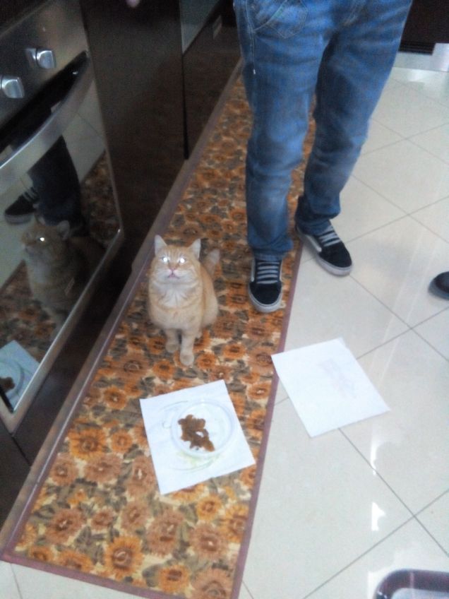 Teuccio il cuginetto