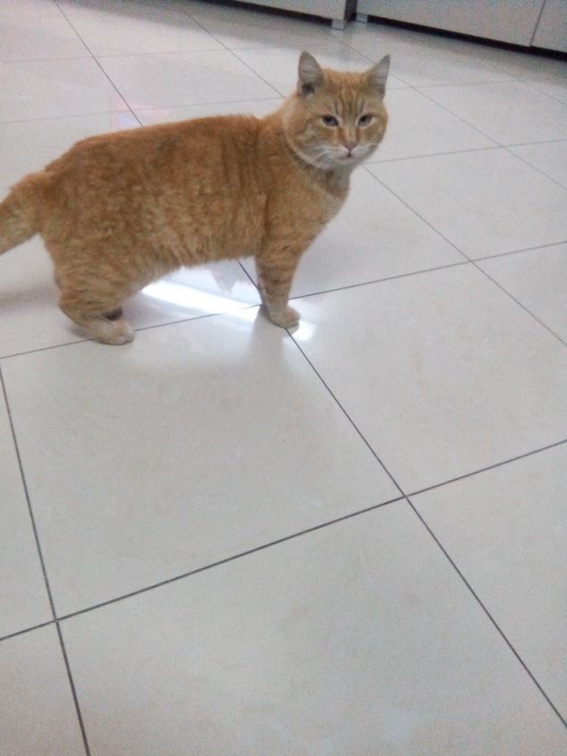 Teo il cugino parte 2