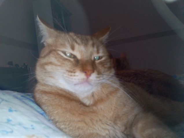 Il buongiorno si vede dal mattino