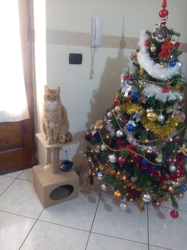 Guardiano della Albero