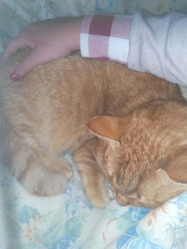 Tra le mie braccia dormirai