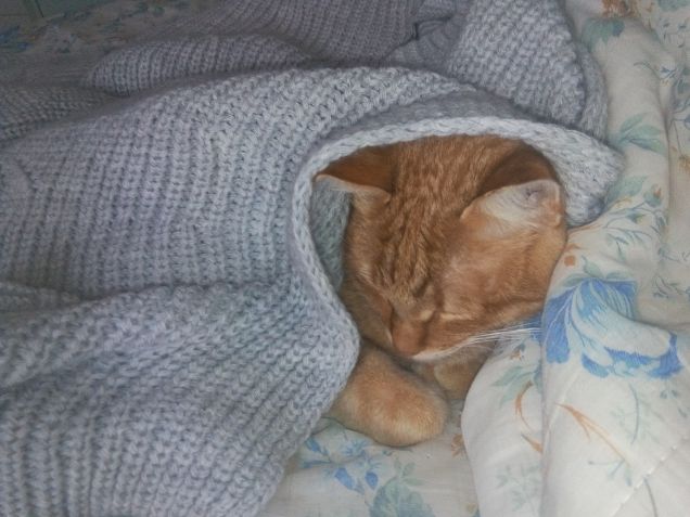 Copertina anticipata come regalo