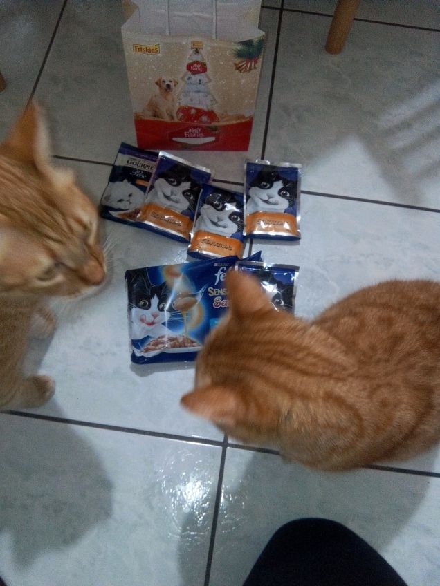 Felice Natale per loro