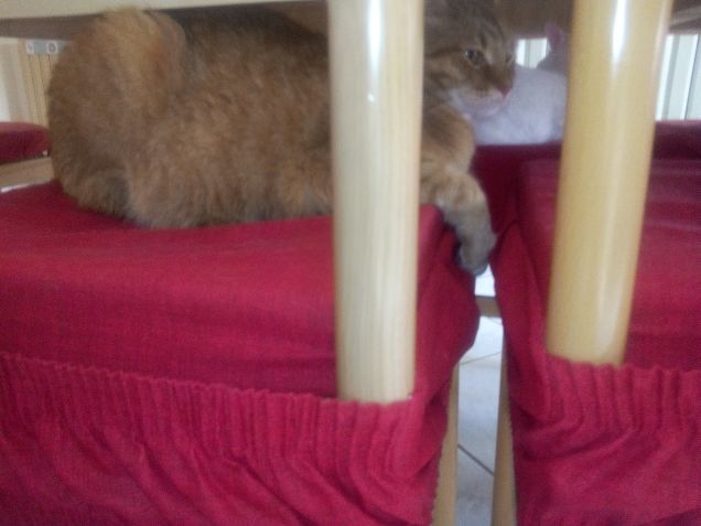 Non entro tutto sulla sedia